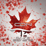 CDN Logo